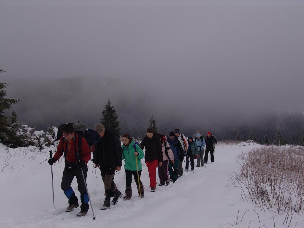 Chalet Truten Vorokhta Bagian luar foto