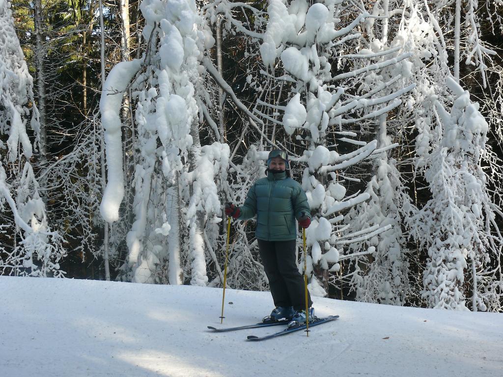 Chalet Truten Vorokhta Bagian luar foto