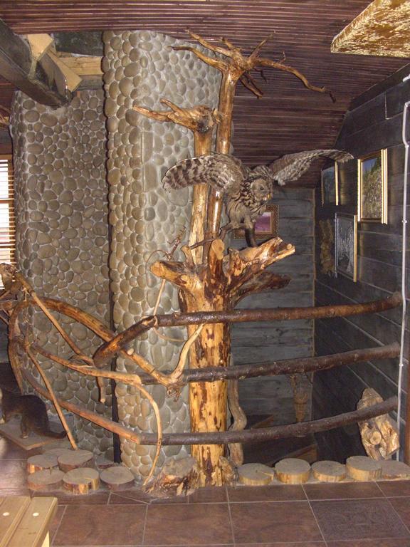 Chalet Truten Vorokhta Bagian luar foto